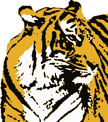 Tiger web graphic
