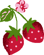 Strawberry graphic
